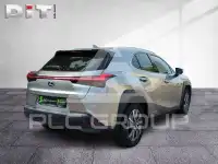 2021 Lexus UX
