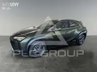 2021 Lexus UX