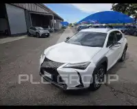 2021 Lexus UX