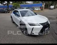 2021 Lexus UX