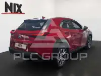 2021 Lexus UX