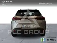 2021 Lexus UX