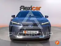 2021 Lexus UX