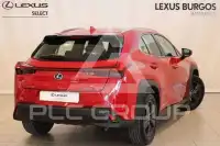 2021 Lexus UX