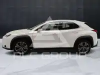 2021 Lexus UX