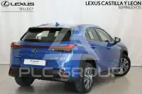 2021 Lexus UX