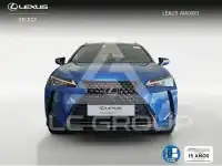 2021 Lexus UX