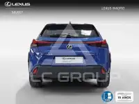 2021 Lexus UX