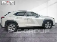 2021 Lexus UX