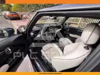 2021 Mini Unknown