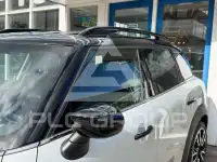 2021 Mini Unknown