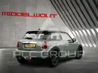 2021 Mini Unknown