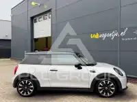 2021 Mini Unknown