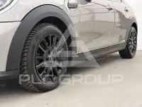 2021 Mini Unknown