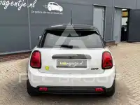 2021 Mini Unknown