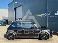 2021 Mini Unknown