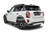 2021 Mini Unknown