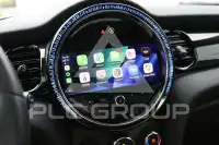 2021 Mini Unknown
