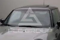 2021 Mini Unknown