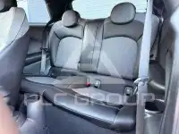 2021 Mini Unknown