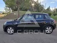 2021 Mini Unknown
