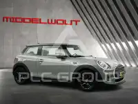 2021 Mini Unknown
