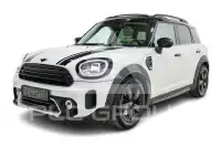 2021 Mini Unknown