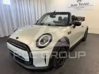 2021 Mini Unknown