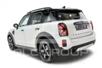 2021 Mini Unknown