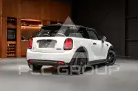 2021 Mini Unknown