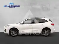 2021 Ford Kuga
