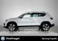 2021 Seat Alteca