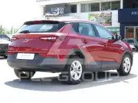 2021 Opel GrandlandX