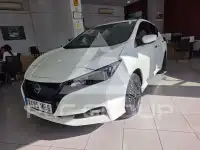 2022 Nissan LEAF