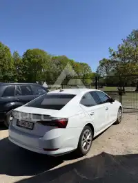 2022 Skoda Octavia