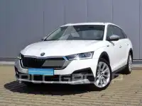 2022 Skoda Octavia
