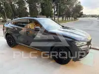2022 BMW X6