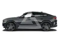 2022 BMW X6