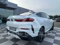 2022 BMW X6