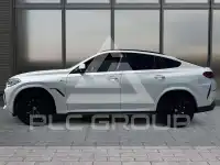 2022 BMW X6