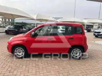 2022 Fiat Panda