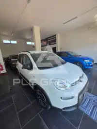 2022 Fiat Panda