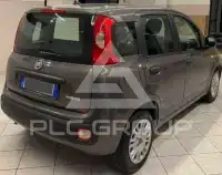 2022 Fiat Panda