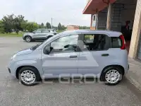 2022 Fiat Panda