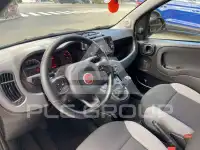 2022 Fiat Panda