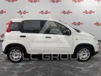 2022 Fiat Panda