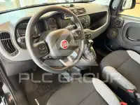 2021 Fiat Panda