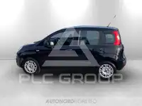 2022 Fiat Panda