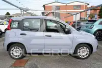 2022 Fiat Panda