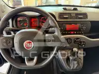 2021 Fiat Panda